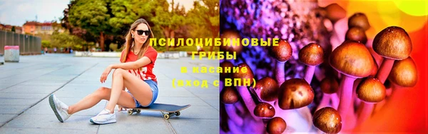 индика Богородицк