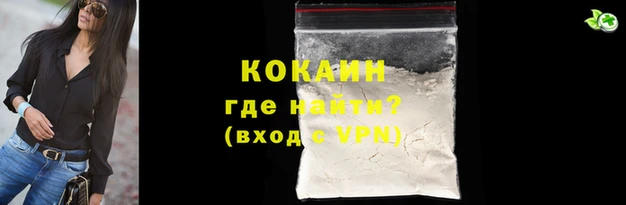 индика Богородицк
