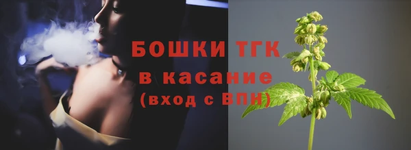 мдпв Богданович