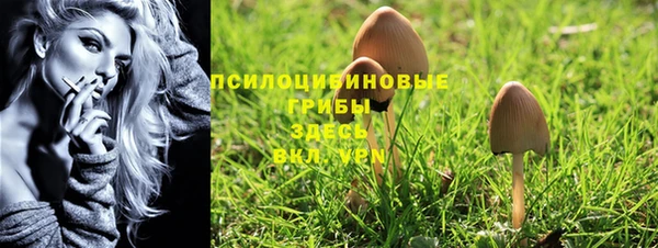 индика Богородицк