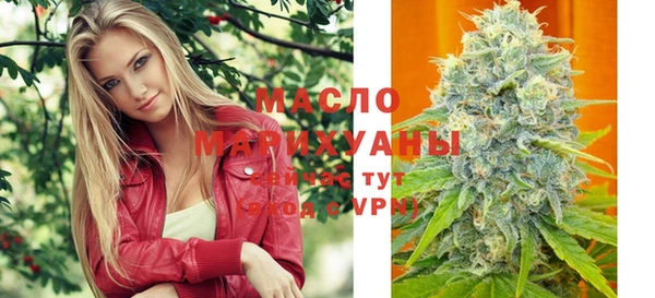 индика Богородицк