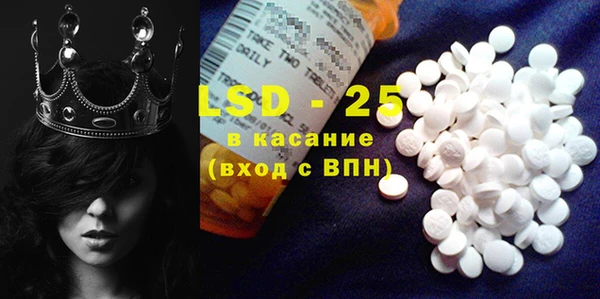 индика Богородицк