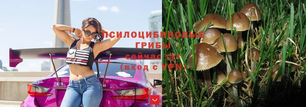 МДПВ Бугульма