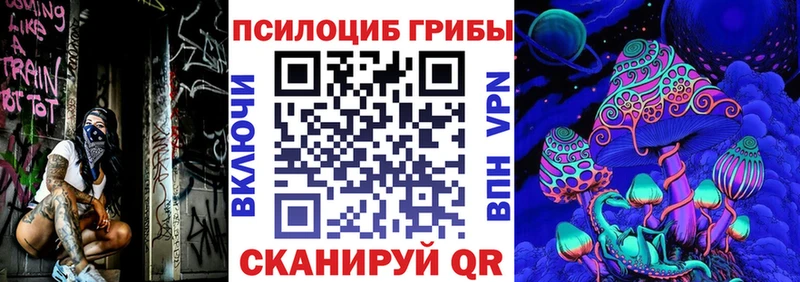Купить где  Моздок  Псилоцибиновые грибы Psilocybe 